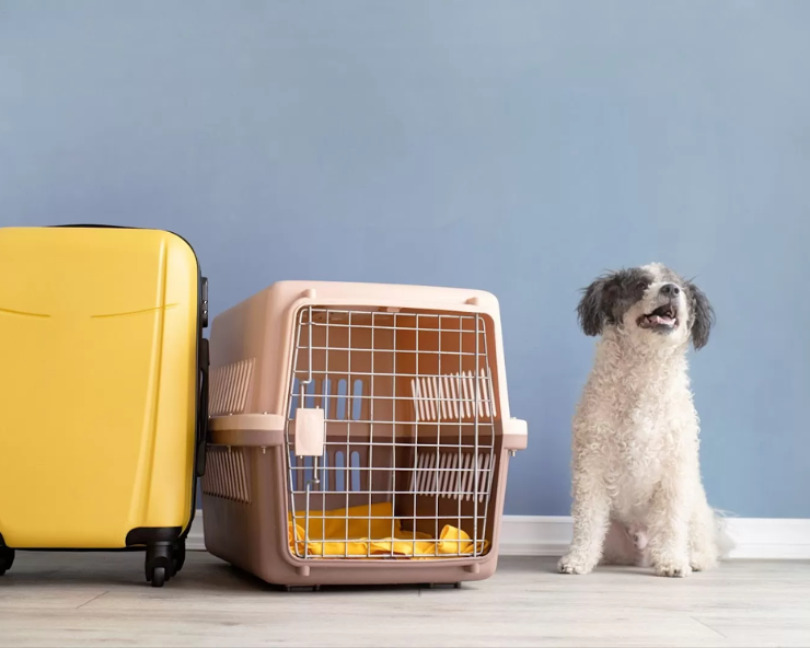 Pet Relocation